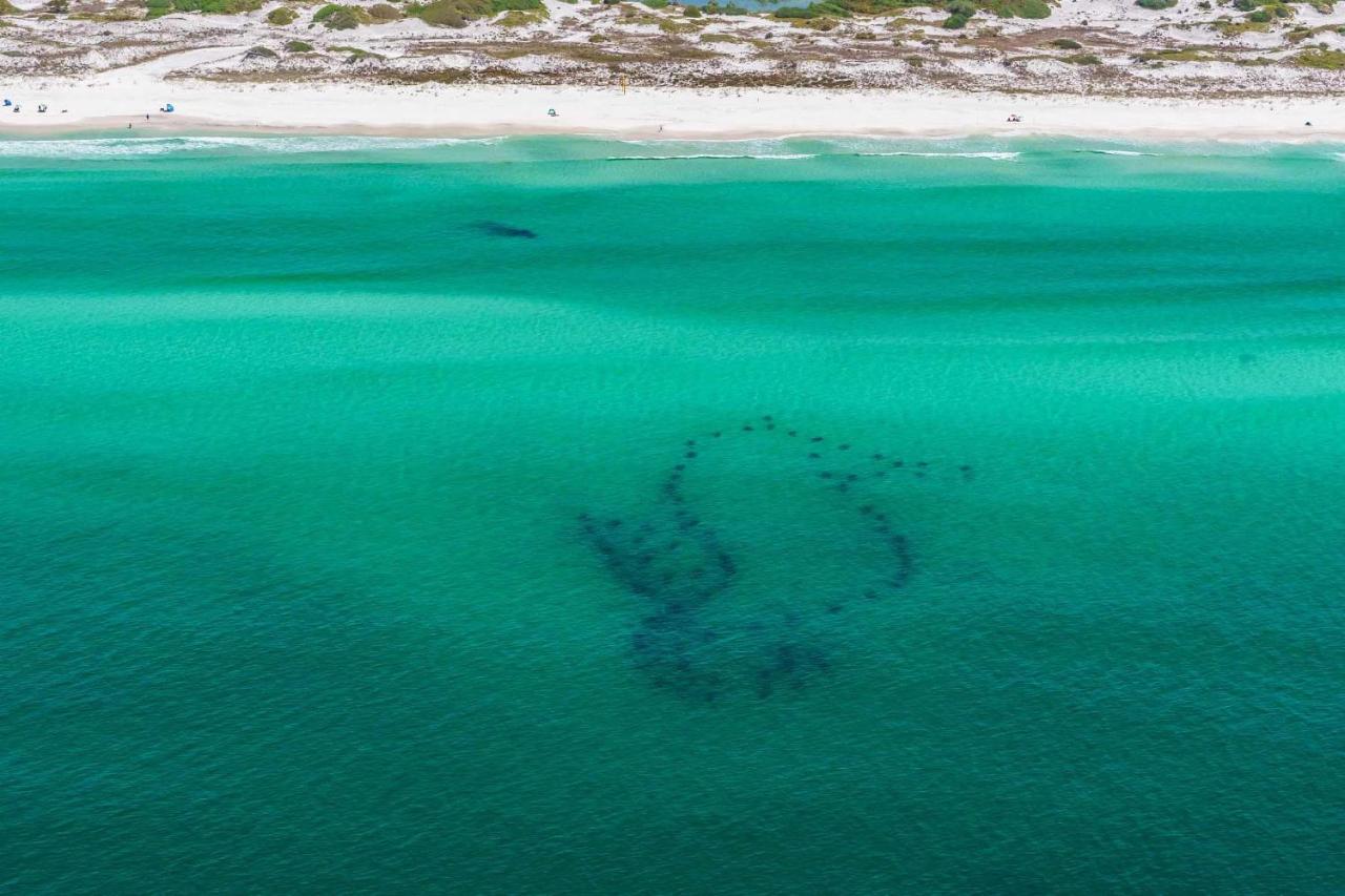 Villa Surfin' Turtle Santa Rosa Beach Exterior foto